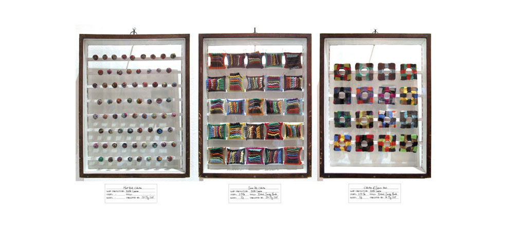 3 frames of wall pieces of entomological knits