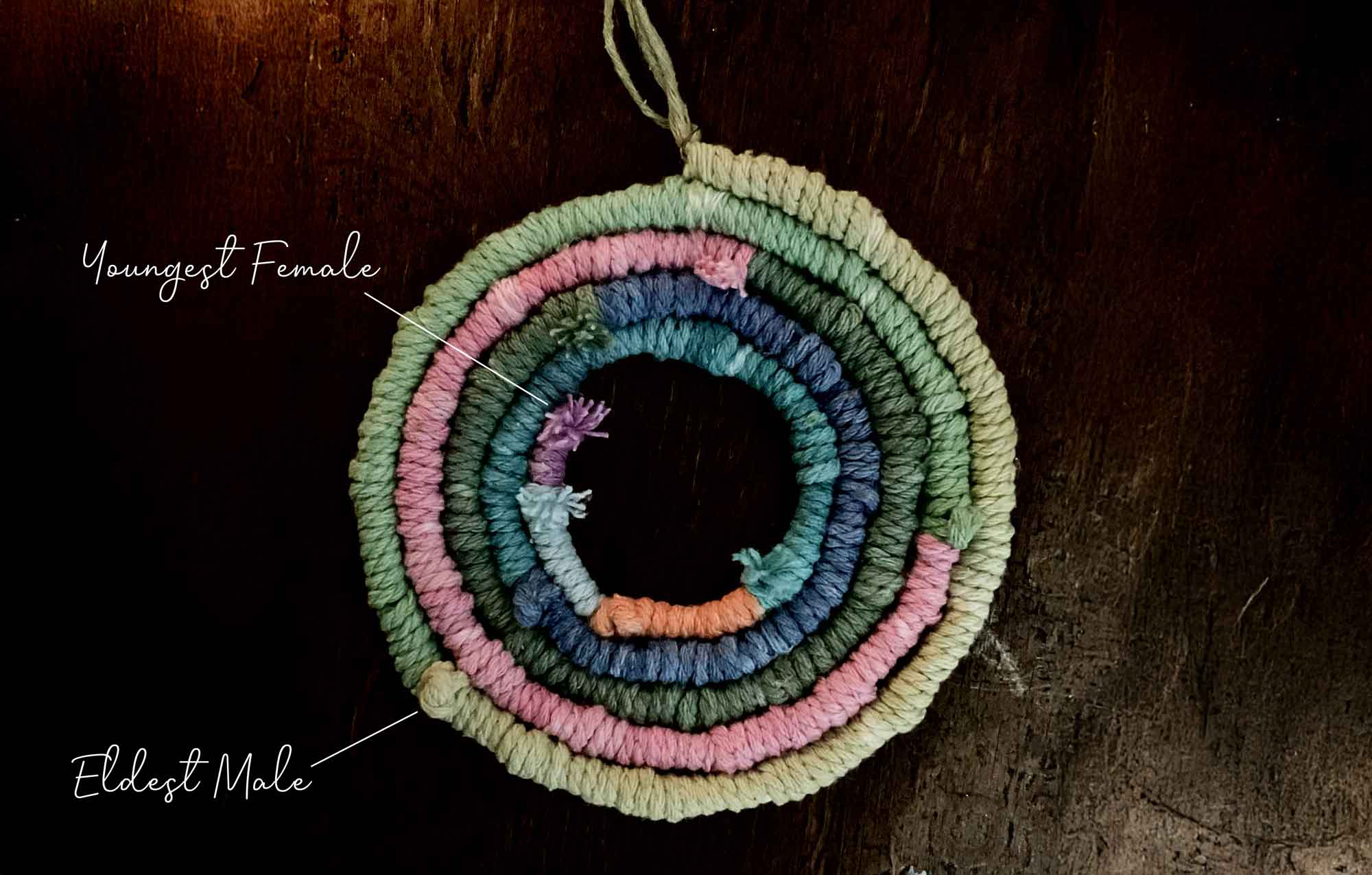 A colorful circle made of yarn symbolizing continuity and connection