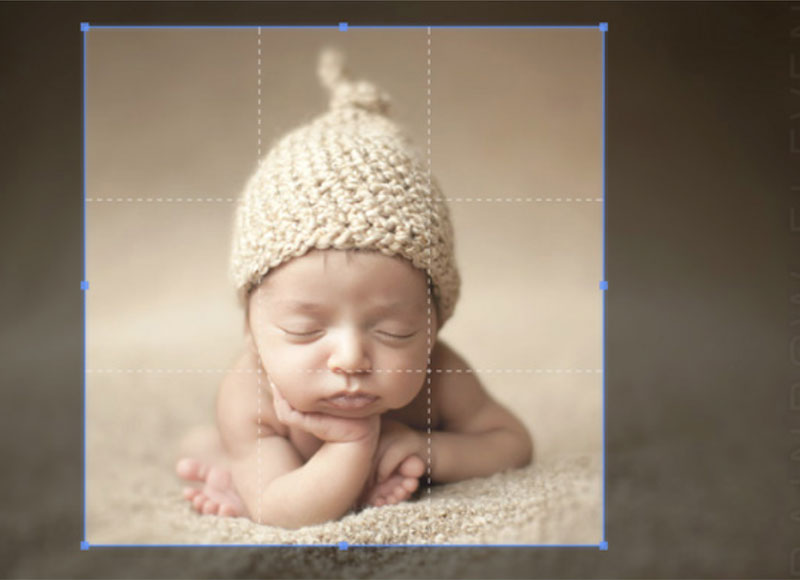 photograph of a small baby fallen asleep sitting with hand under chin, wearing a white knitted hat, on a fluffy beige rug, being selected in a rectangle with a digital tool
