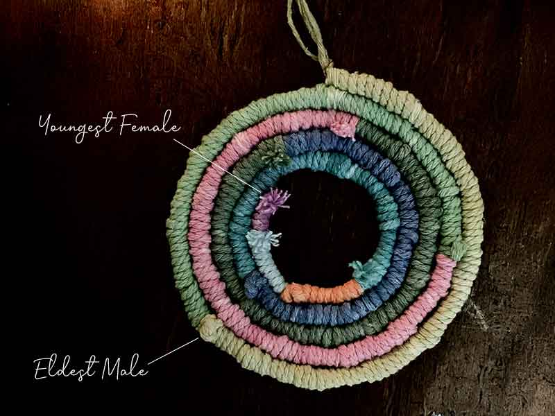 A colorful circle made of yarn symbolizing continuity and connection