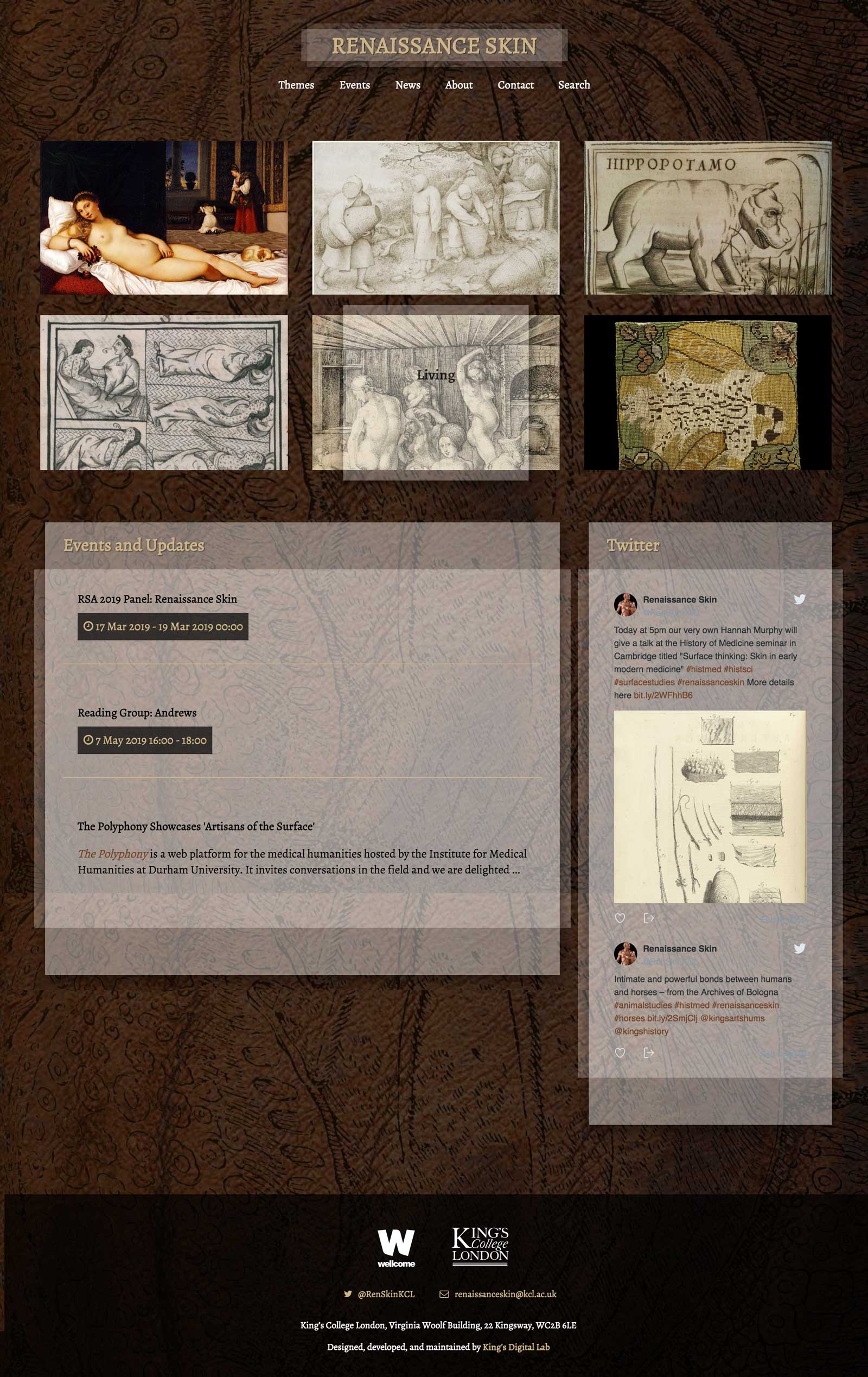 screenshot of Renaissance Skin site